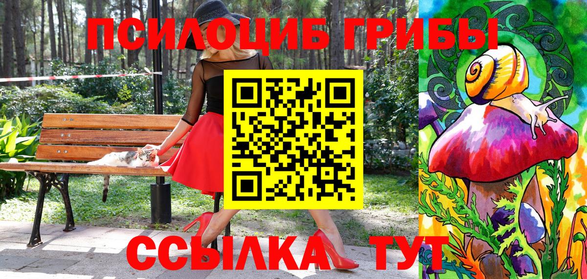Галлюциногенные грибы GOLDEN TEACHER Красноярск