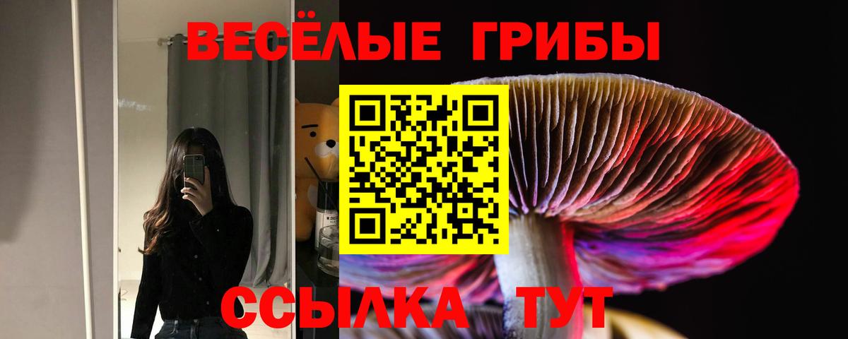 Псилоцибиновые грибы Красноярск